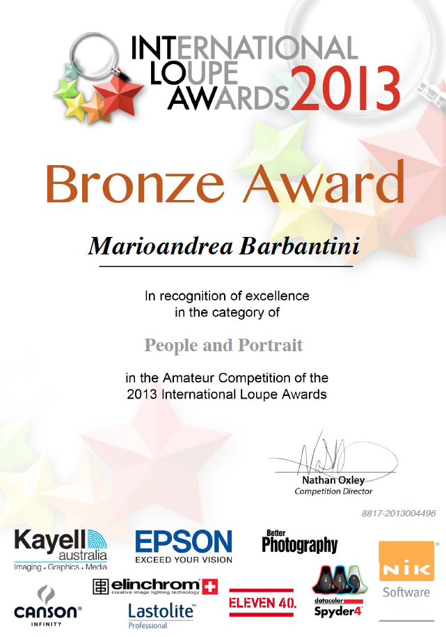 bronze-awards-2013